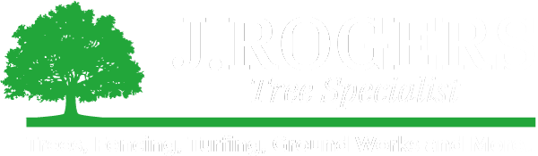 Tree and Groundworks Specialist In Southgate, North London